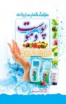 کتاب طراوت، شادابی زیبایی پوست و مو نوشته  طیبه پیروی   محمد‌هادی صادقی
